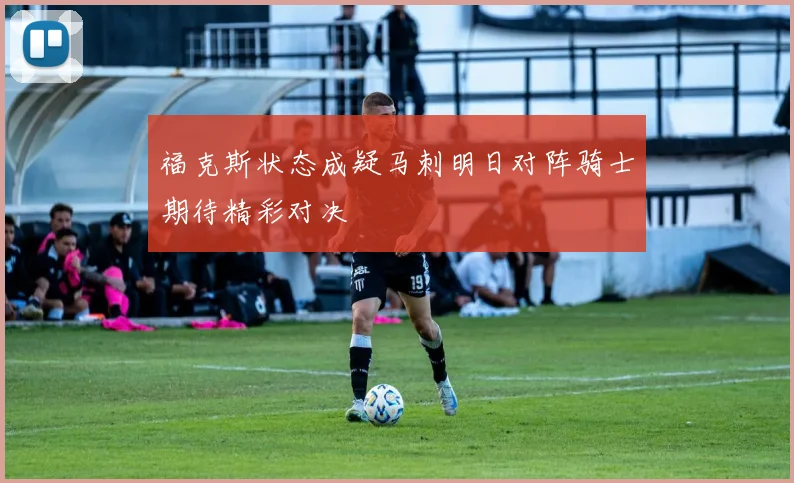 福克斯状态成疑马刺明日对阵骑士期待精彩对决